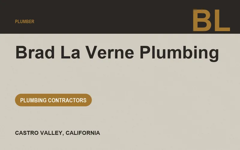 Brad La Verne Plumbing in Castro Valley, California