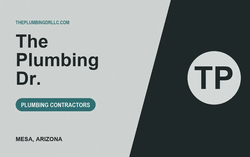 THE PLUMBING DR. in Mesa, Arizona