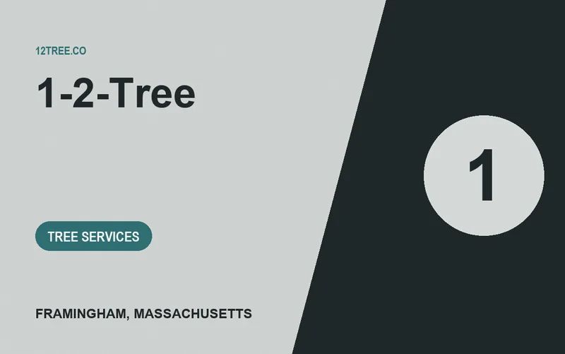 1-2-Tree in Framingham, Massachusetts