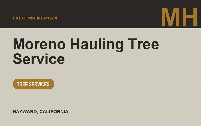Moreno Hauling Tree Service in Hayward, California