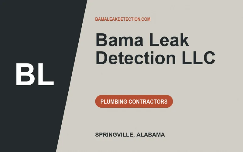 Bama Leak Detection LLC in Springville, Alabama