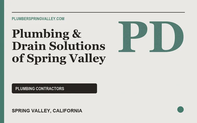 Plumbing & Drain Solutions of Spring Valley in Spring Valley, California