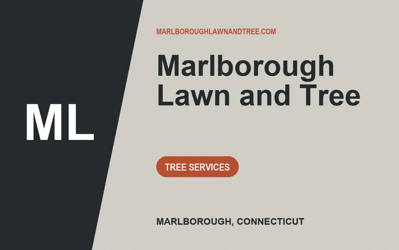 Marlborough Lawn and Tree in Marlborough, Connecticut