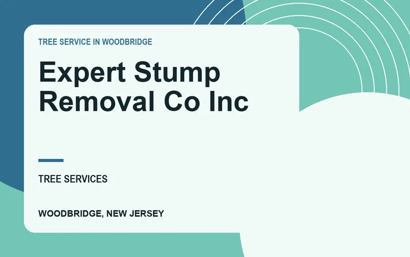 Expert Stump Removal Co Inc in Woodbridge, New Jersey