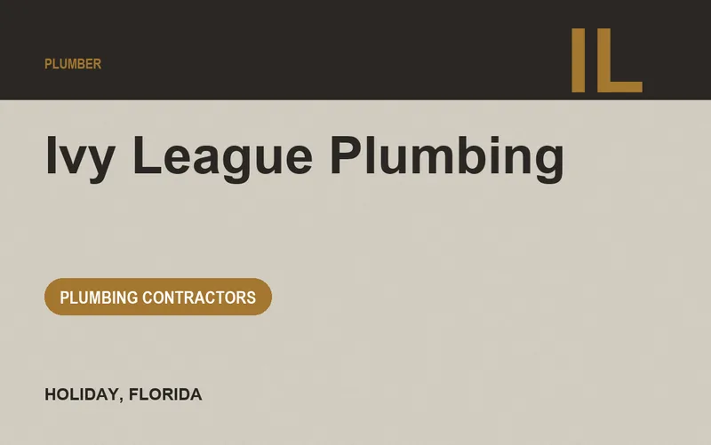 Ivy League Plumbing in Holiday, Florida