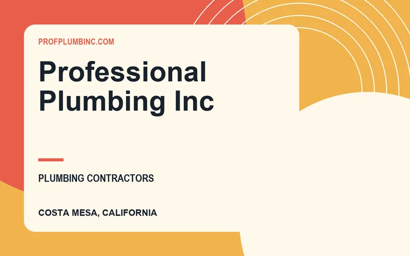 Professional Plumbing Inc in Costa Mesa, California