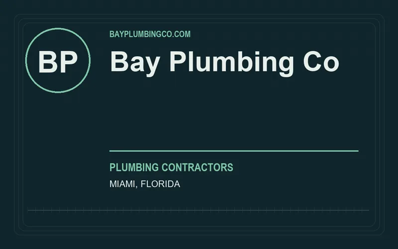 Bay Plumbing Co in Miami, Florida